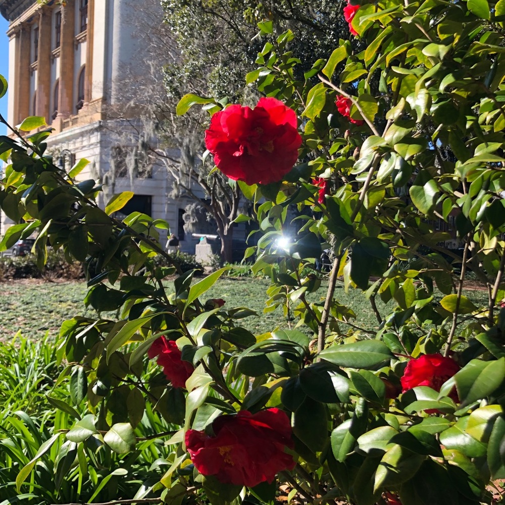 Meet your Posher, Bonnie